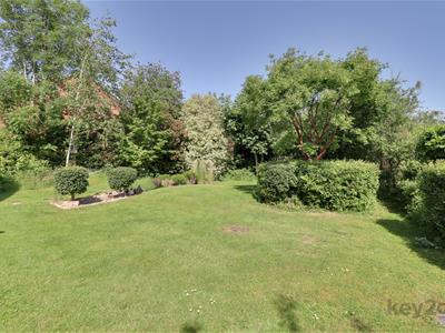 Picture 24